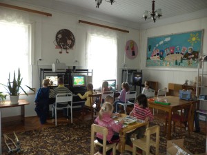 Зеленый бор2
