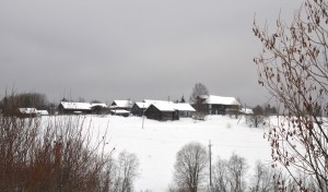 Панорамный вид на деревню Орловка Панорамный вид на деревню Орловка