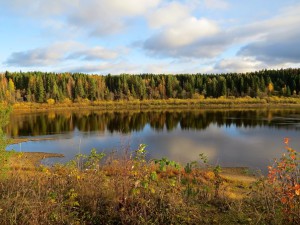 Фото Олега Федотовского