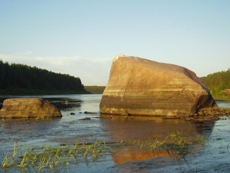Лось
