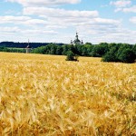 Вознесенский Собор