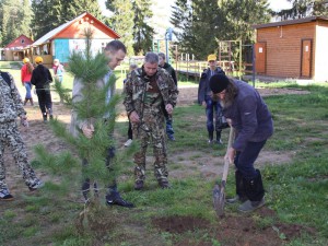 Геоглиф из кедра