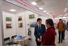 ворота севера1