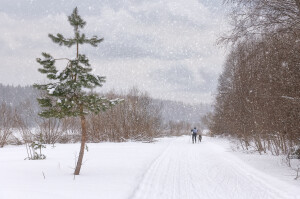 Гонка в снегопад (1)