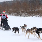 2 гонка упряжки лыжники  (6)