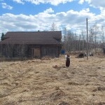 Будущий музей на заднем плане. Территория где будет памятник